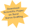 See our prostate nerve damage schedule for sural nerve grafting (SNG) for peripheral nerve injury repair